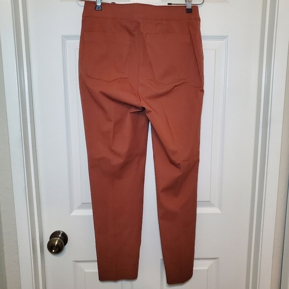 NWT SPANX On-the-Go Ankle Slim Straight Pant Bronze Glow, Size M - Picture 5 of 10